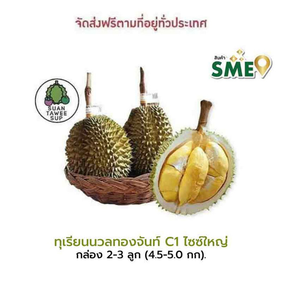 ทุเรียนนวลทองจันทร์ C1 ไซซ์ใหญ่ 2-3 ลูก (4.5-5 กก.) สวนทวีทรัพย์ จ.ชุมพร ทุเรียนนวลทองจันทร์ C1 ไซซ์ใหญ่ 2-3 ลูก (4.5-5 กก.) สวนทวีทรัพย์ จ.ชุมพร