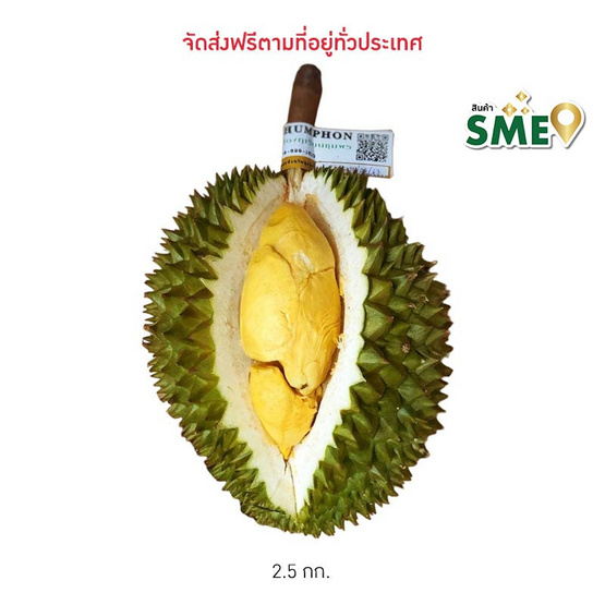 สวนทวีทรัพย์ ทุเรียนนวลทองจันทร์ ไซส์เล็ก กล่อง 2.5 กก. สวนทวีทรัพย์ ทุเรียนนวลทองจันทร์ ไซส์เล็ก กล่อง 2.5 กก.