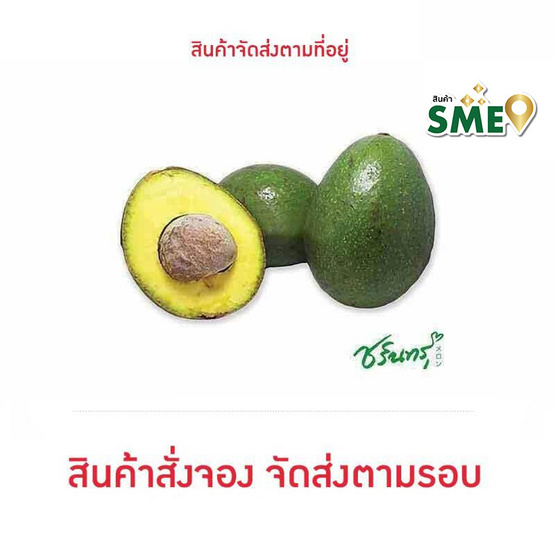 ไร่ชรินทร์พรรณ อะโวคาโด พันธุ์บัคคาเนีย 2 กก. ไร่ชรินทร์พรรณ อะโวคาโด พันธุ์บัคคาเนีย 2 กก.