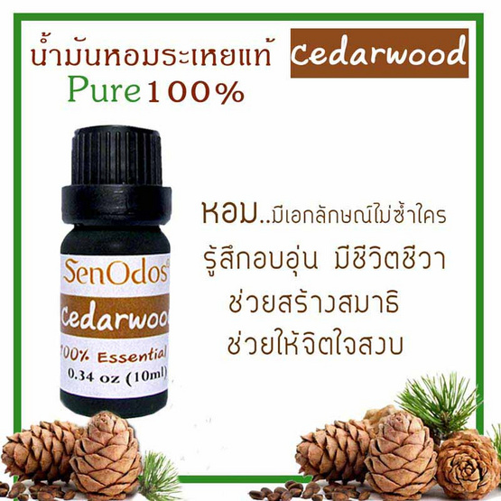 SenOdos น้ำมันหอมระเหยแท้ 100% กลิ่นซีด้าร์วูด (Cedarwood) 10 ml.