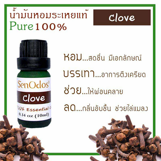 SenOdos น้ำมันหอมระเหยแท้ 100% กลิ่นกานพลู (Clove) 10ml.