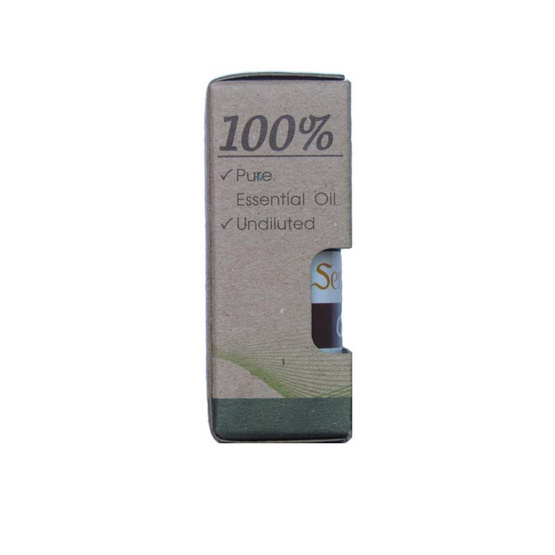 SenOdos น้ำมันหอมระเหยแท้ 100% กลิ่นกานพลู (Clove) 10ml.