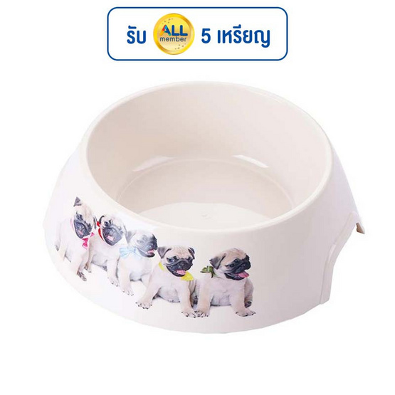 CCPets ชามข้าวสัตว์เลี้ยง พลาสติกพิมพ์ลาย L P1117 CCPets ชามข้าวสัตว์เลี้ยง พลาสติกพิมพ์ลาย L P1117