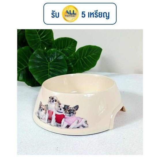 CCPets ชามข้าวสัตว์เลี้ยง พลาสติกพิมพ์ลาย M P1118