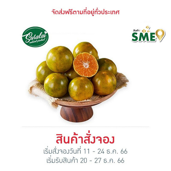 สวนสุราลัย ส้มแม่สิน พันธุ์ส้มเขียวหวานสีทอง กล่อง 5 กก.