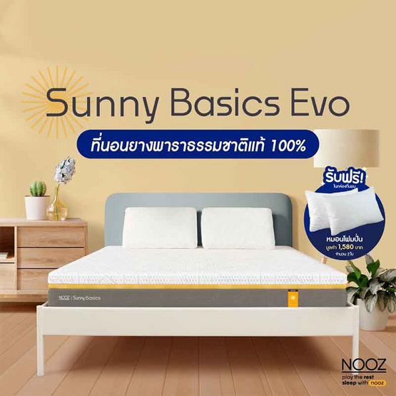 Nooz Sunny Basic Evo ความหนา 6 นิ้ว Nooz Sunny Basic Evo ความหนา 6 นิ้ว