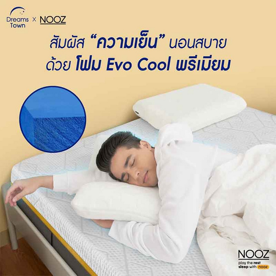 Nooz Sunny Basic Evo ความหนา 6 นิ้ว Nooz Sunny Basic Evo ความหนา 6 นิ้ว