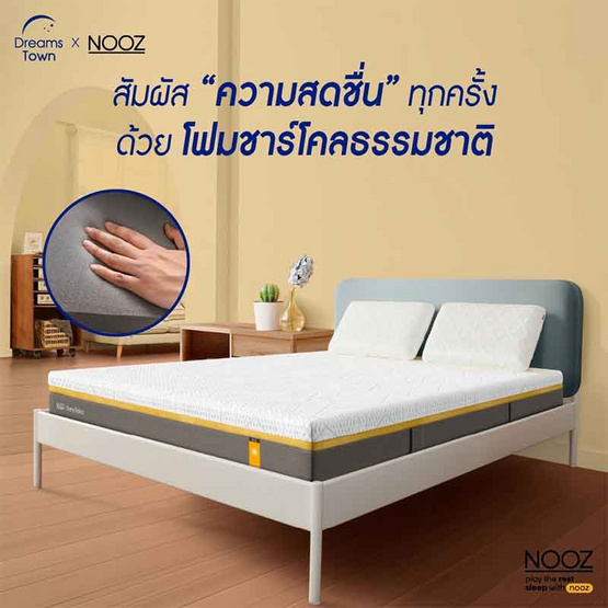 Nooz Sunny Basic Evo ความหนา 6 นิ้ว Nooz Sunny Basic Evo ความหนา 6 นิ้ว