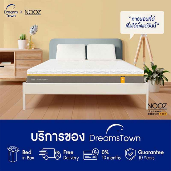 Nooz Sunny Basic Evo ความหนา 6 นิ้ว Nooz Sunny Basic Evo ความหนา 6 นิ้ว