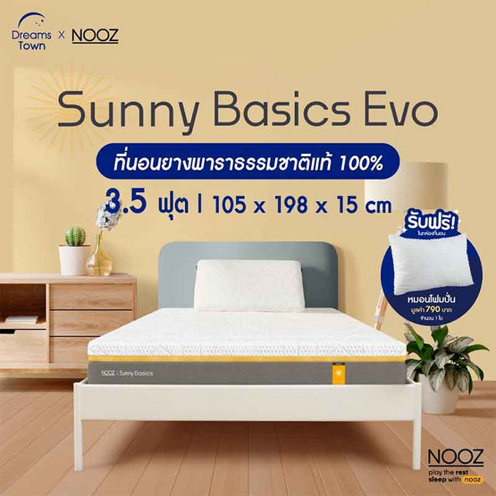 Nooz Sunny Basic Evo ความหนา 6 นิ้ว Nooz Sunny Basic Evo ความหนา 6 นิ้ว