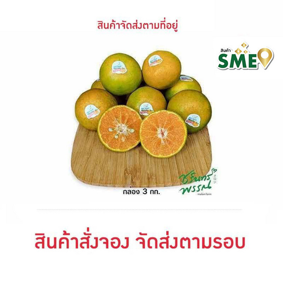 ไร่ชรินทร์พรรณ ส้มสายน้ำผึ้ง กล่อง 3 กก. ไร่ชรินทร์พรรณ ส้มสายน้ำผึ้ง กล่อง 3 กก.