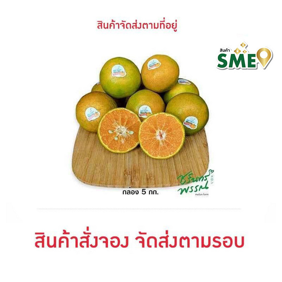 ไร่ชรินทร์พรรณ ส้มสายน้ำผึ้ง กล่อง 5 กก.
