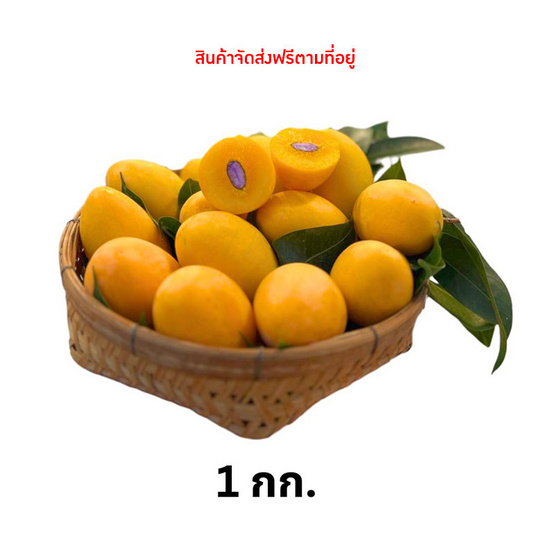 มะยงชิด 1 กก. (ไซซ์ 15-18 ลูก/กก.) สวนคำลับแล จ.อุตรดิตถ์