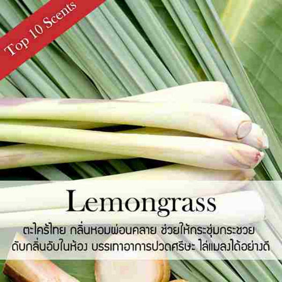 พฤกษา สปา ก้านไม้หอมปรับอากาศ 30 มล. (Refill) Lemongrass