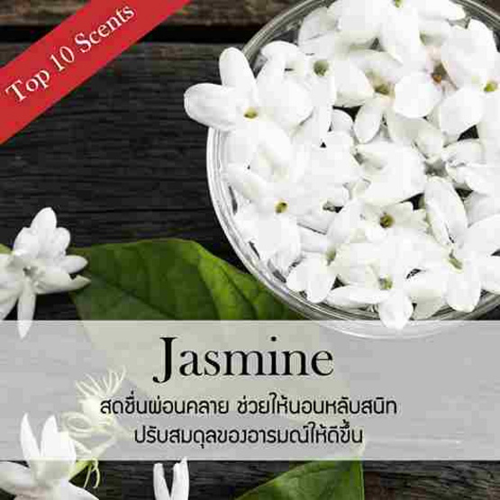 พฤกษา สปา ก้านไม้หอมปรับอากาศ 30 มล. (Refill) Jasmine