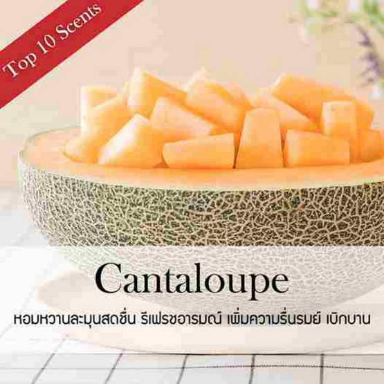 พฤกษา สปา ก้านไม้หอมปรับอากาศ 30 มล. (Refill) Cantaloupe