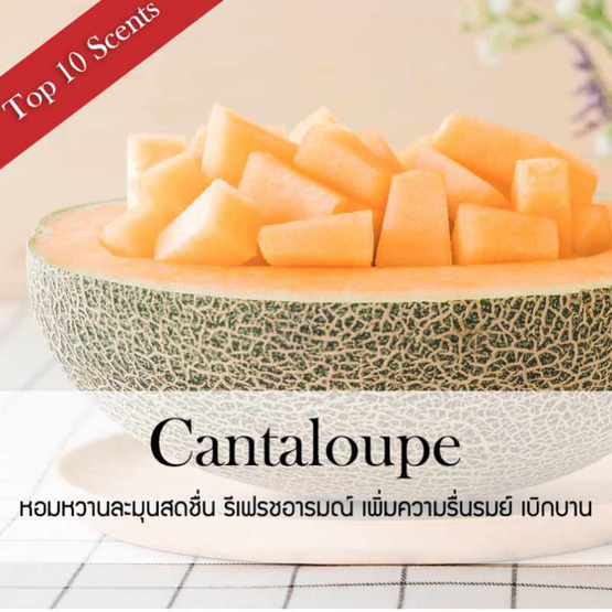 พฤกษา สปา ก้านไม้หอมปรับอากาศ 50 มล. (Refill) Cantaloupe