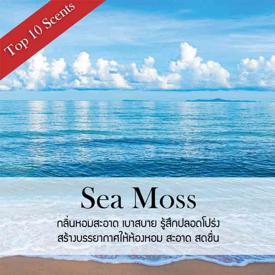 พฤกษา สปา ก้านไม้หอมปรับอากาศ 50 มล. (Refill) Seamoss