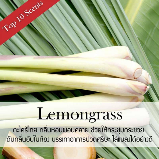 พฤกษา สปา ก้านไม้หอมปรับอากาศ 100 มล. (Refill) Lemongrass