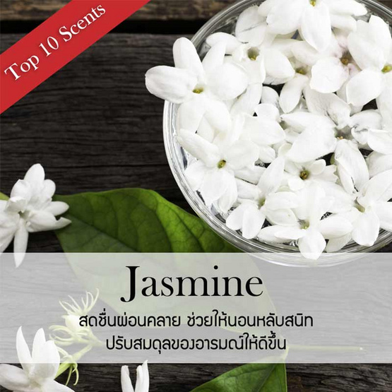 พฤกษา สปา ก้านไม้หอมปรับอากาศ 100 มล. (Refill) Jasmine