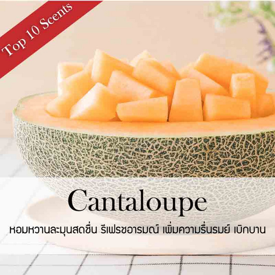 พฤกษา สปา ก้านไม้หอมปรับอากาศ 100 มล. (Refill) Cantaloupe