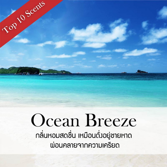 พฤกษา สปา ก้านไม้หอมปรับอากาศ 100 มล.(Refill) Ocean Breeze