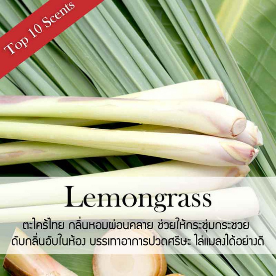 พฤกษา สปา ดอกไม้หอมปรับอากาศ 120 มล. Lemongrass