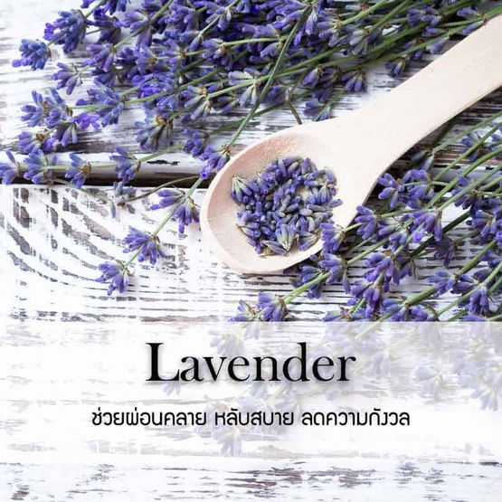 พฤกษา สปา น้ำมันหอมระเหยเอสเซนเชียลออยล์ 15 มล. Lavender