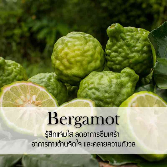 พฤกษา สปา น้ำมันหอมระเหยเอสเซนเชียลออยล์ 15 มล. Bergamot