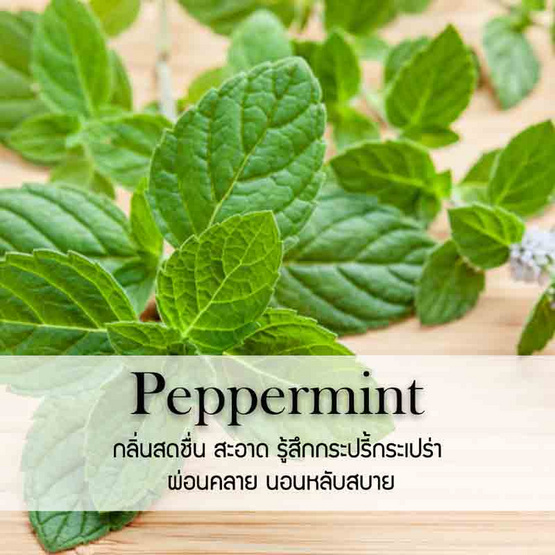 พฤกษา สปา น้ำมันหอมระเหยเอสเซนเชียลออยล์ 15 มล. Peppermint