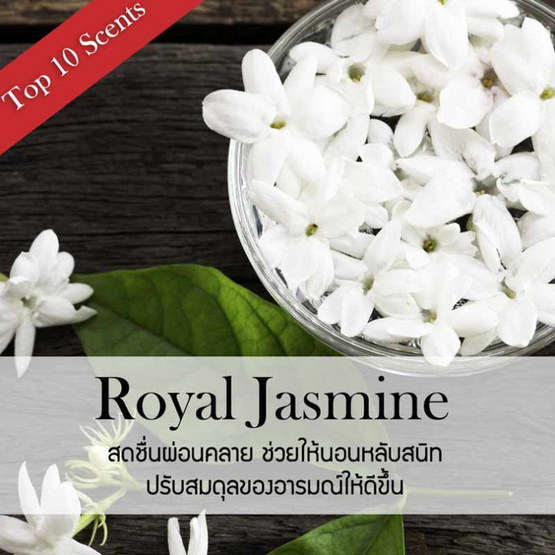 พฤกษา สปา ก้านไม้หอมปรับอากาศ 50 มล. Jasmine