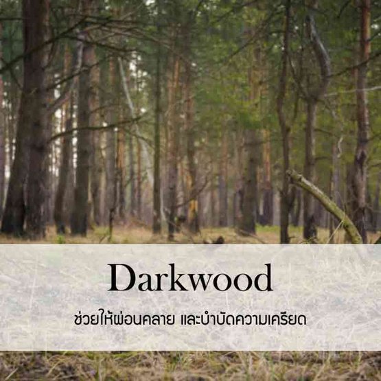 พฤกษา สปา น้ำมันหอมระเหยอโรม่าออยล์ 30 มล. Darkwood