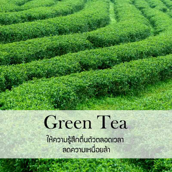 พฤกษา สปา น้ำมันหอมระเหยอโรม่าออยล์ 30 มล. Green Tea