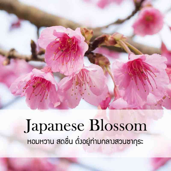 พฤกษา สปา น้ำมันหอมระเหยอโรม่าออยล์ 30 มล. Japanese Blossom