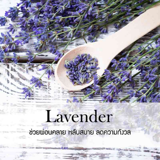 พฤกษา สปา น้ำมันหอมระเหยอโรม่าออยล์ 30 มล. Lavender