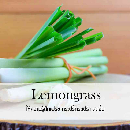 พฤกษา สปา น้ำมันหอมระเหยอโรม่าออยล์ 30 มล. Lemongrass