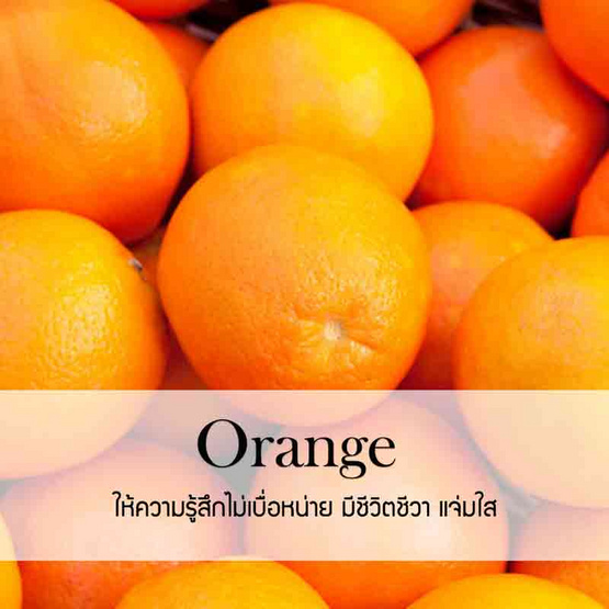 พฤกษา สปา น้ำมันหอมระเหยอโรม่าออยล์ 30 มล. Orange