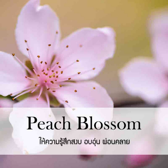 พฤกษา สปา น้ำมันหอมระเหยอโรม่าออยล์ 30 มล. Peach Blossom