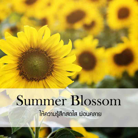 พฤกษา สปา น้ำมันหอมระเหยอโรม่าออยล์ 30 มล. Summer Blossom