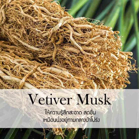 พฤกษา สปา น้ำมันหอมระเหยอโรม่าออยล์ 100 มล. Vetivet Musk