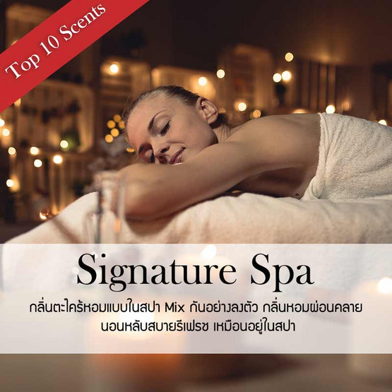 พฤกษา สปา น้ำหอมปรับอากาศรถยนต์ แบบแขวน 8 มล. Signature Spa (PDQ)