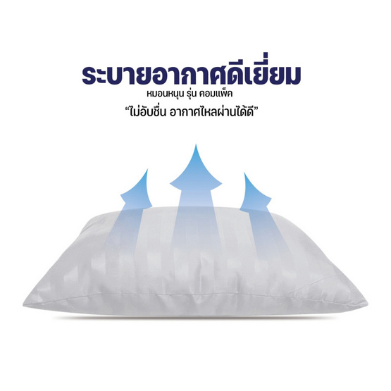 DD Bedding หมอนหนุน  รุ่น Compact ขาว