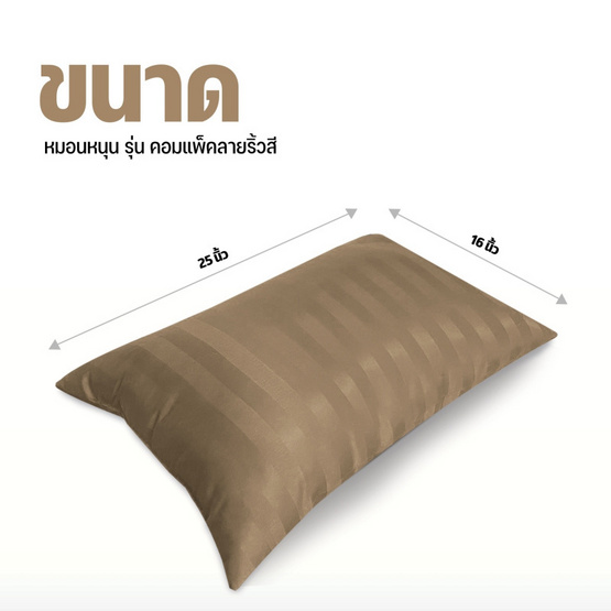 DD Bedding หมอนหนุน  รุ่น Compact น้ำตาลอ่อน