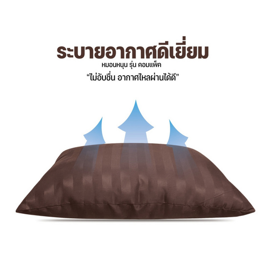 DD Bedding หมอนหนุน  รุ่น Compact น้ำตาลเข้ม