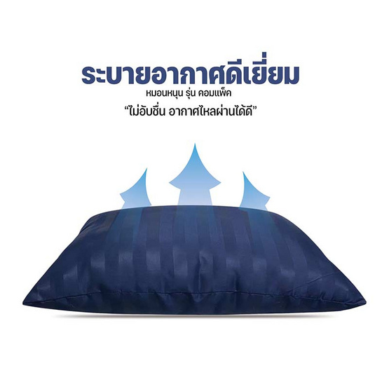 SC HOME หมอนหนุน  รุ่น Compact กรมท่า