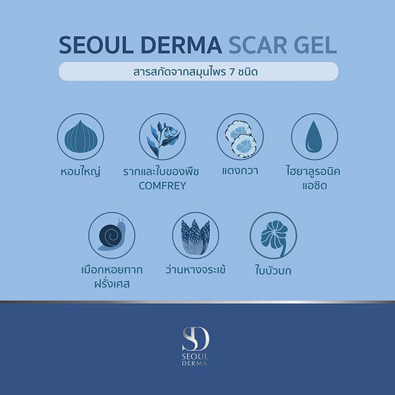 Seoul Derma Scar Gel 8 กรัม