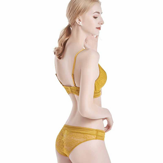 Wolfox เซ็ตชุดชั้นในไร้โครง รุ่น Luxury Set