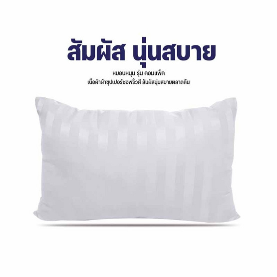 DD Bedding หมอนหนุนแพ็คคู่ รุ่น Compact SS ริ้วขาว