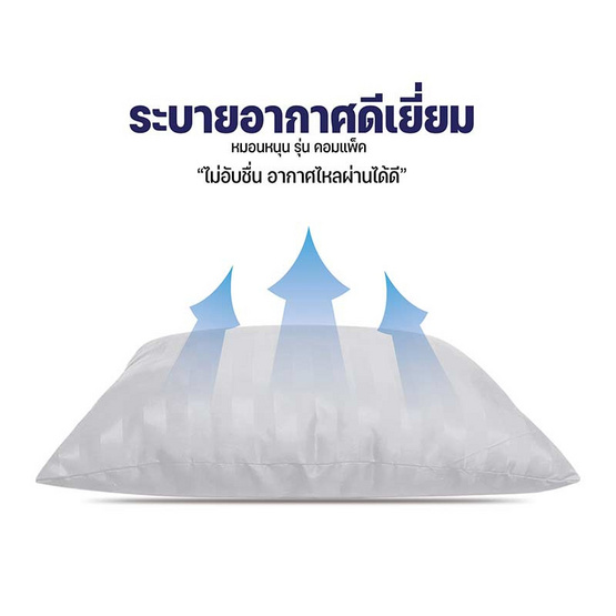 SC HOME หมอนหนุนแพ็คคู่ รุ่น Compact SS ริ้วขาว