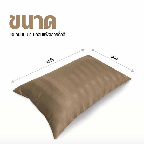 DD Bedding หมอนหนุนแพ็คคู่ รุ่น Compact SS ริ้วน้ำตาลอ่อน